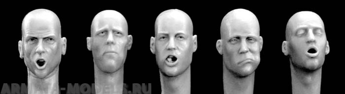 HH17 5 different heads eating, drinking Hornet