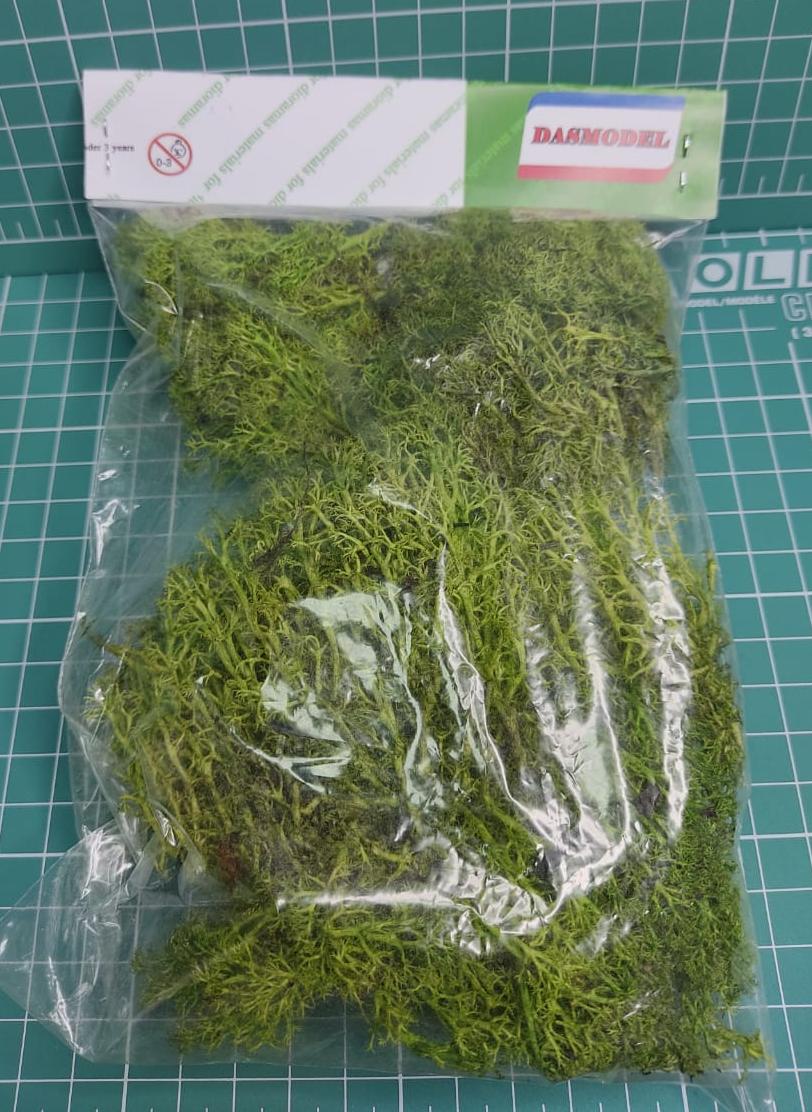 3094 Мох стабилизированный, ярко-зелёный