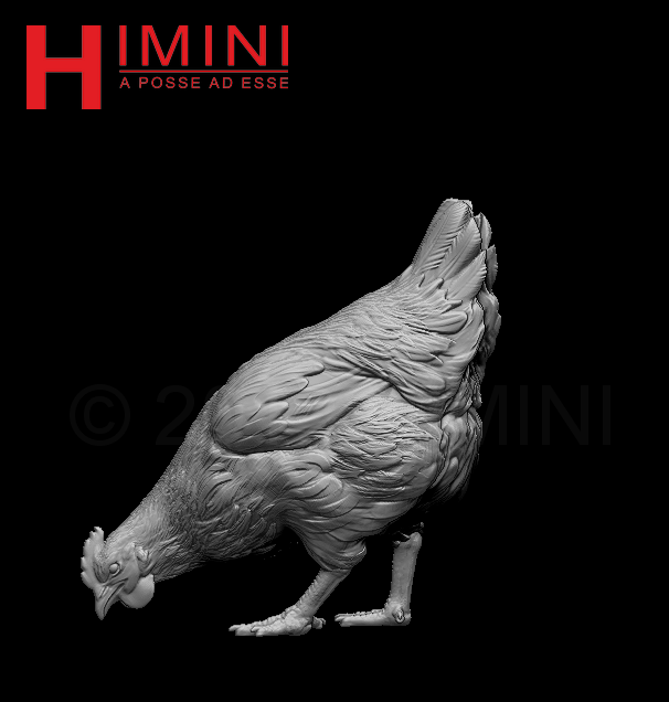 HI-75-019  (домашние птицы) Himini