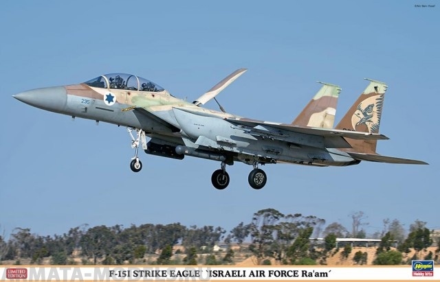 07353 Самолет F-15I  STRIKE EAGLE ISRAELI AIR FORCE Ra'am Hasegawa