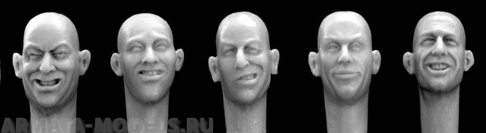 HH11 5 different heads laughing, joking Hornet