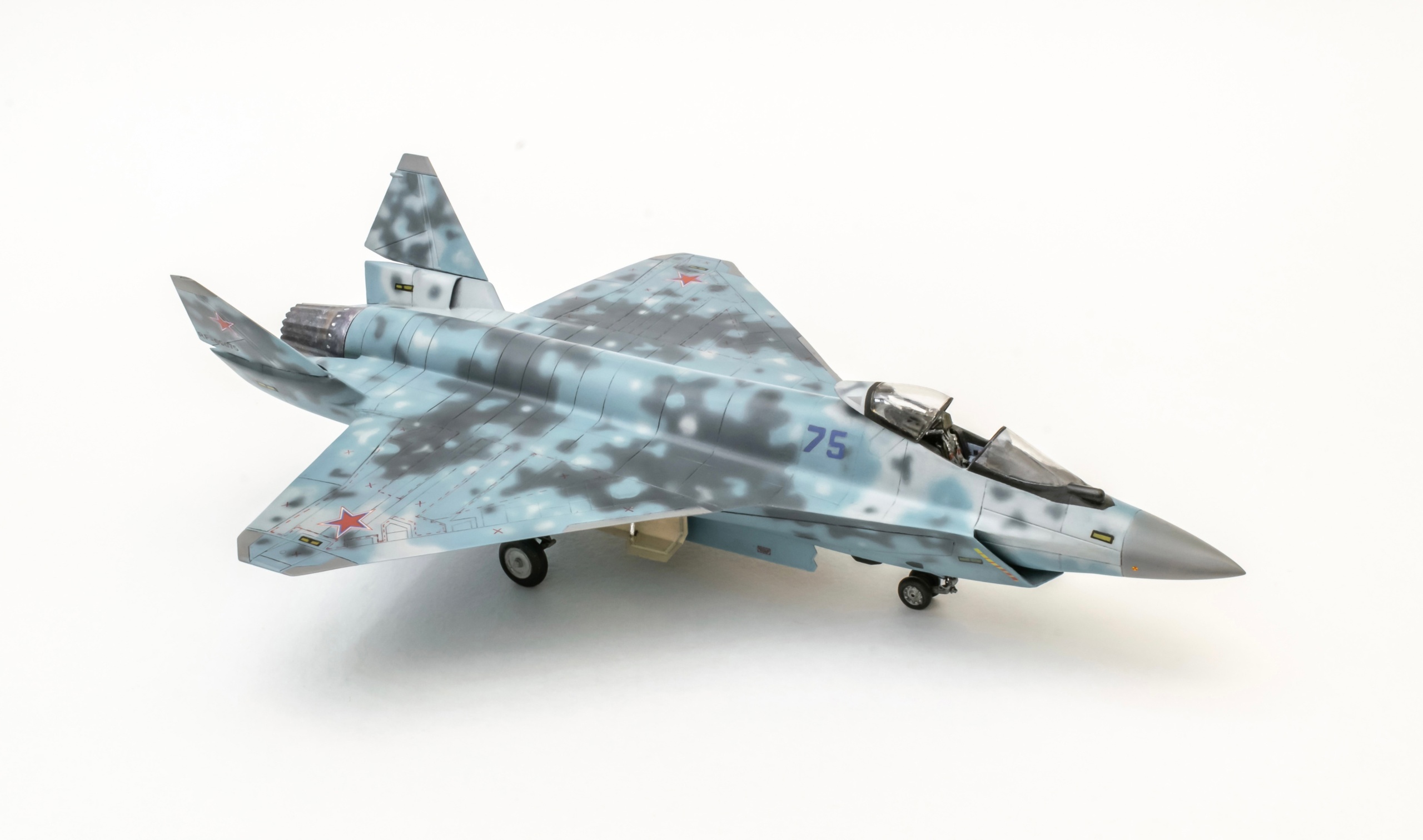 SR-AR721 Легкий тактический самолет «Шах и Мат» Sarmat Resin