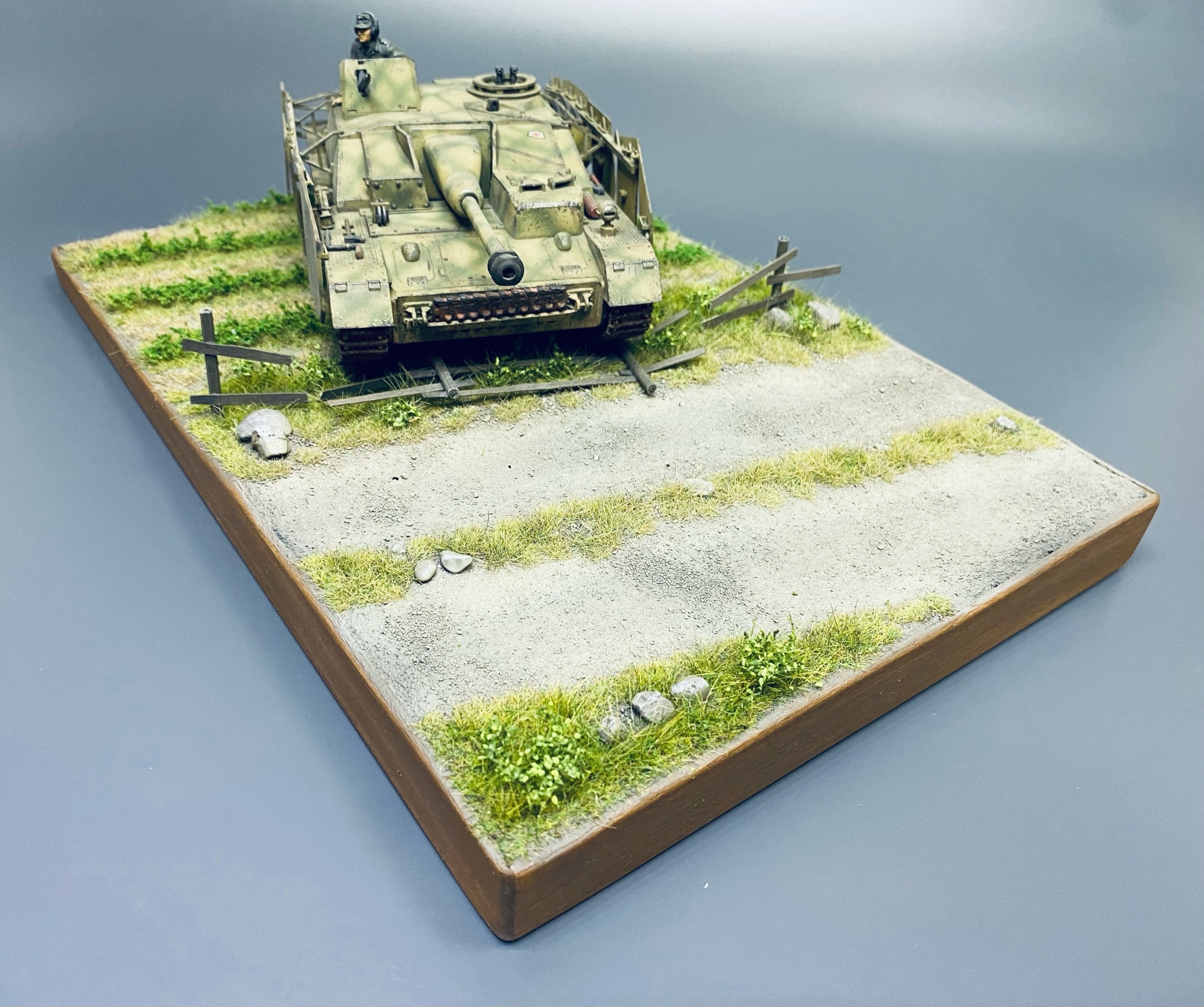 AM35711 Через поля. Размер 20*30см.