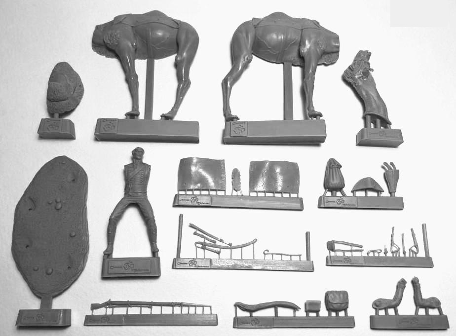 CHM-54169. Рядовой полка Дромадеров, Франция 1800-01 гг. 54 мм. Материал - смола. Chronos Miniatures