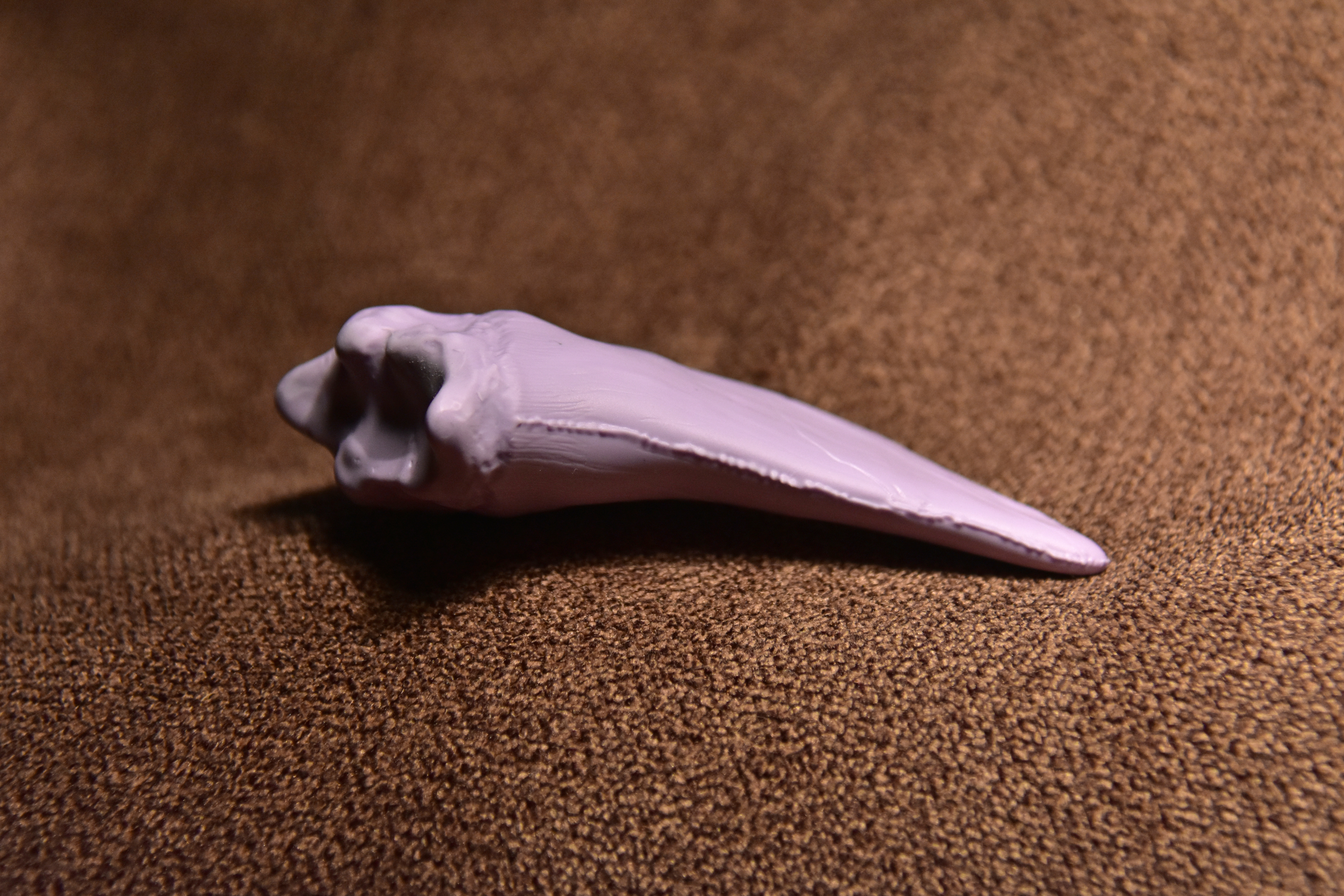 DINO10003 Зуб Горгозавра