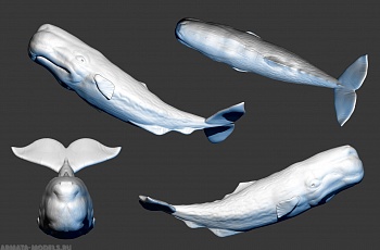 AM35004 Кашалот 1/350