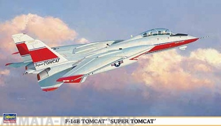 00898 Самолет F-14B Hasegawa