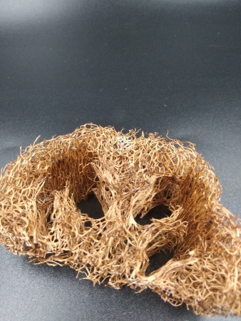 3017DAS Кусты сухие